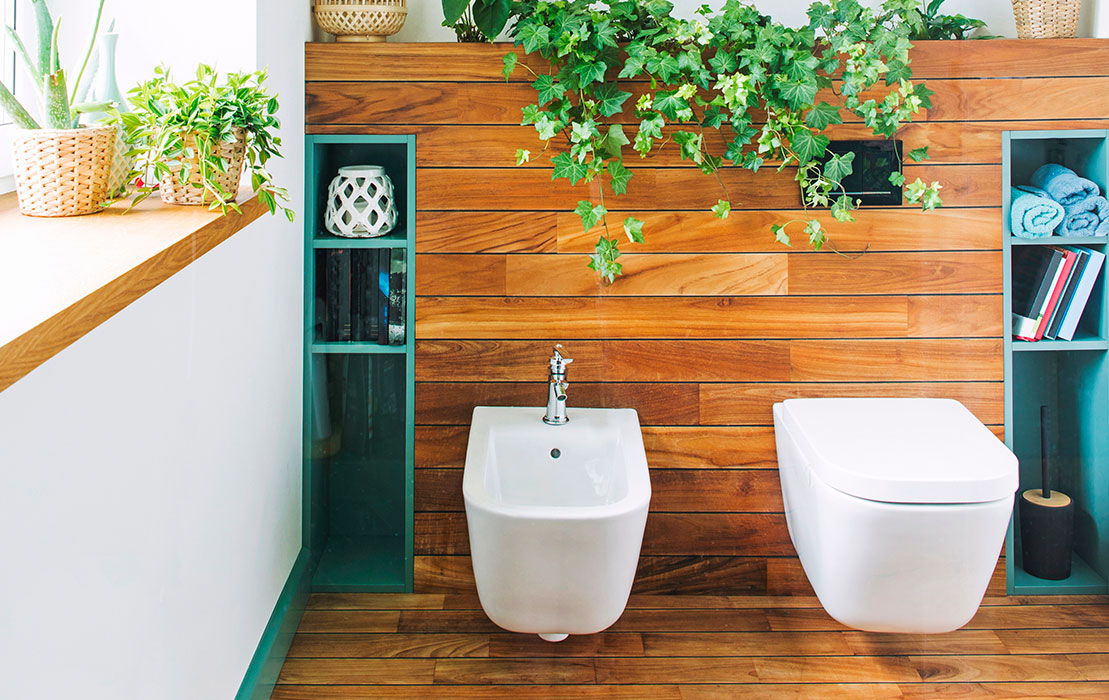 lambris bois vert eau toilettes